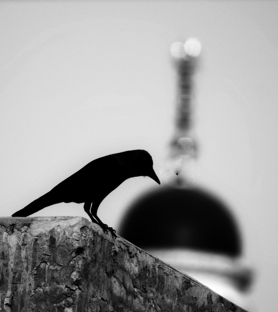 Photograph by Washiful Majid