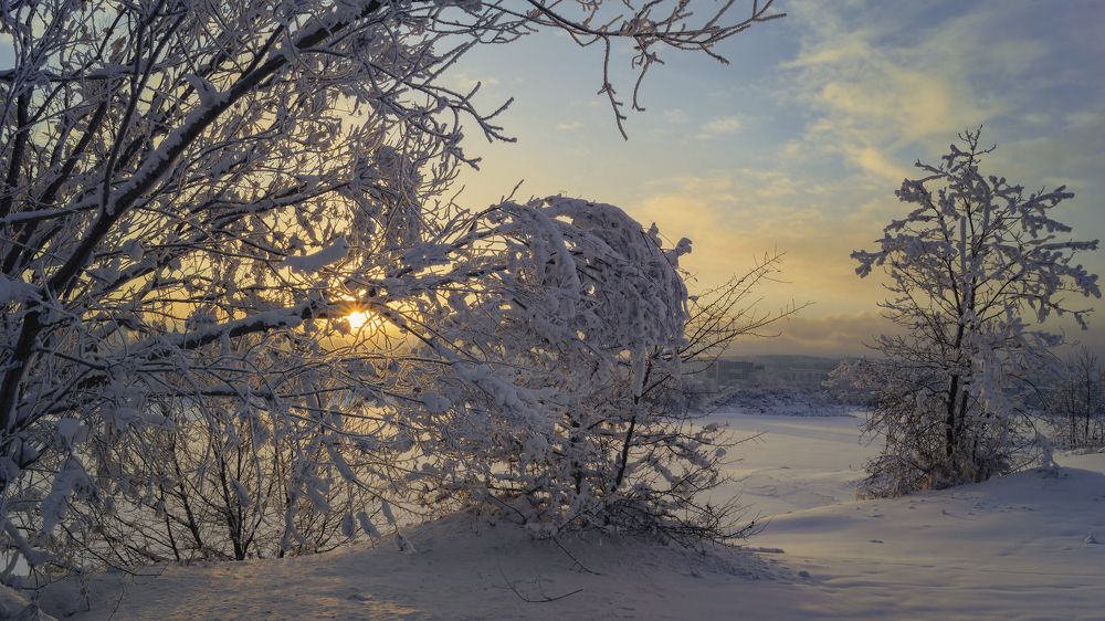 Фотография автора Степан Давыдов
