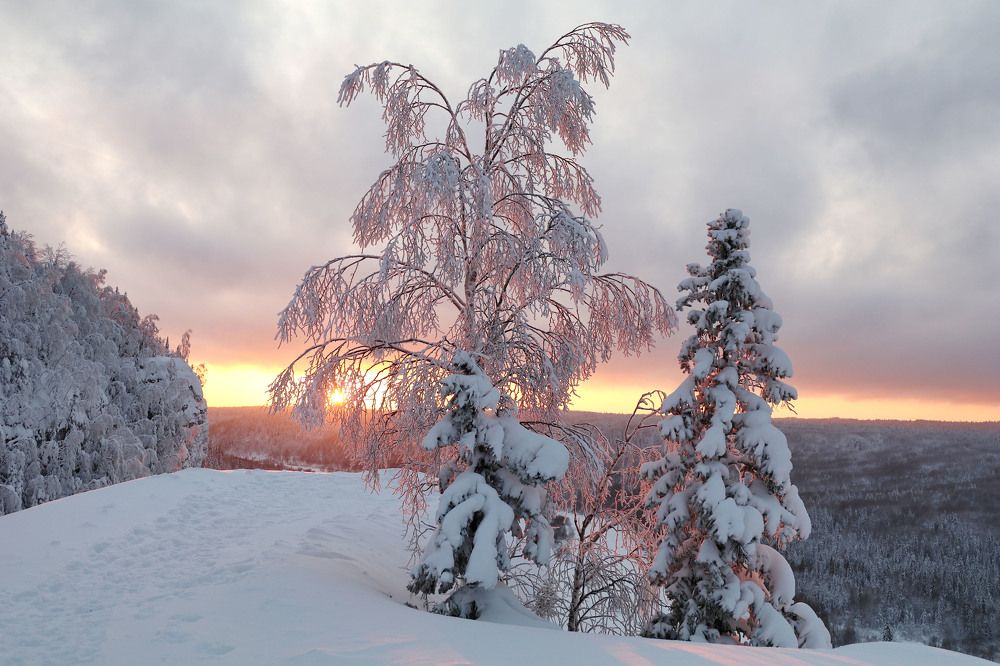 Photograph by Добролюбова Тамара