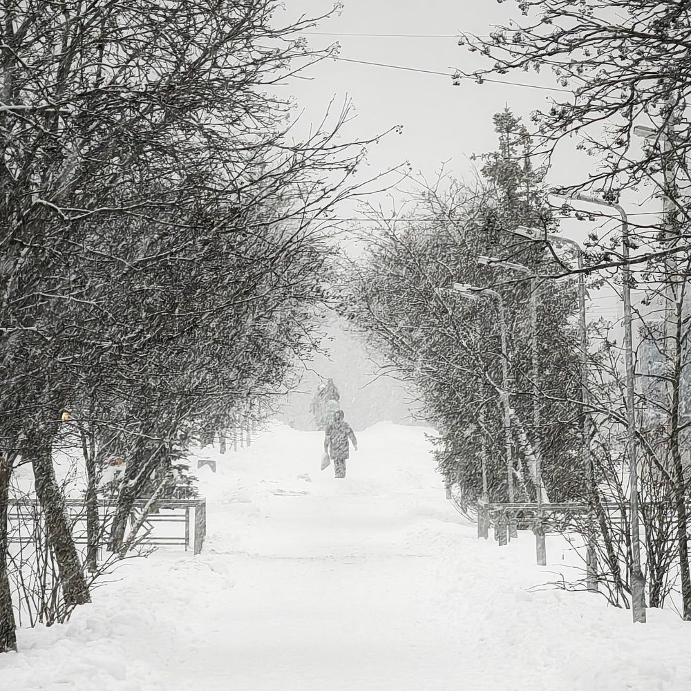 Photograph by Юрий Полушин