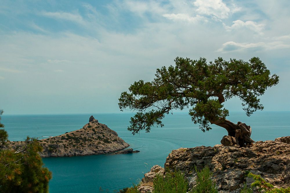 Photograph by Антонина Кузнецова