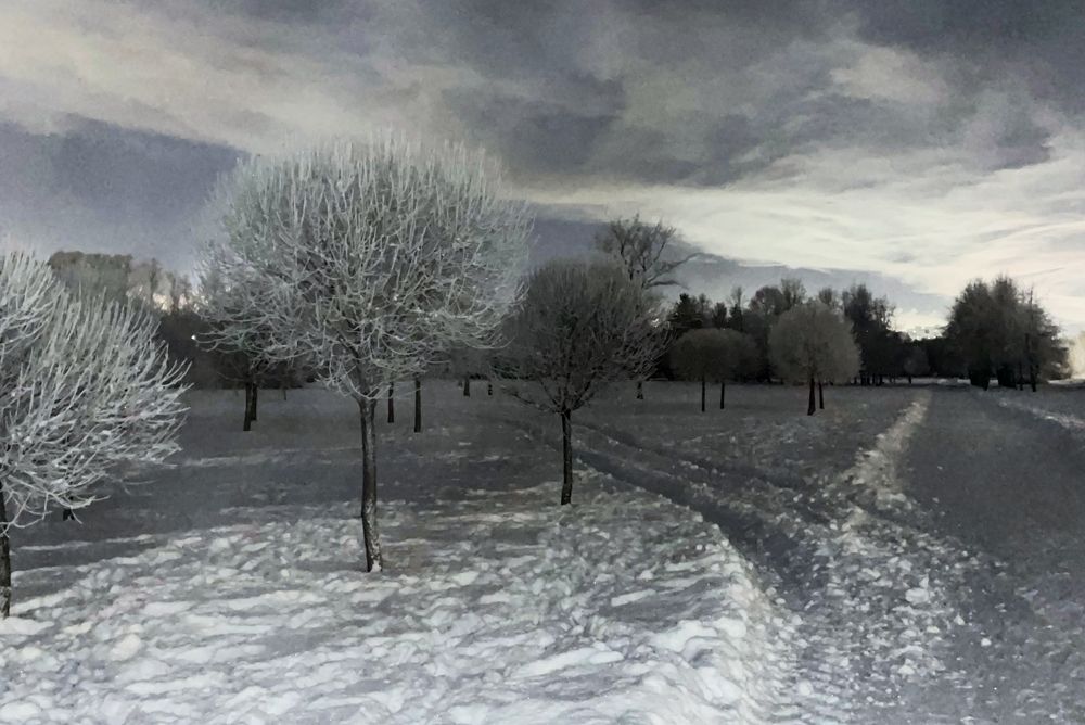 Photograph by Yana Egorova