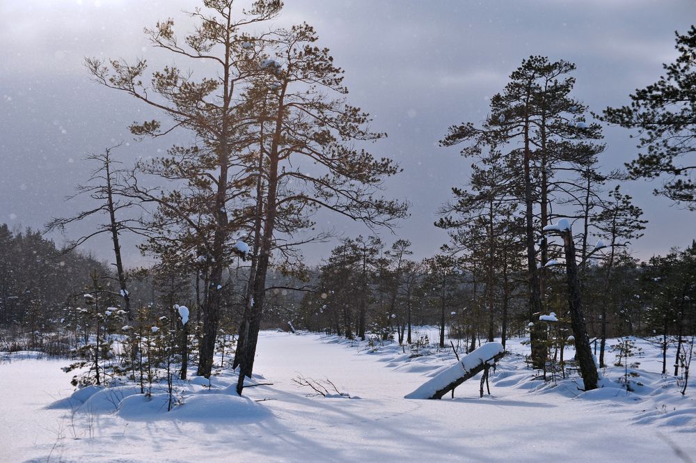 Photograph by Юрий Яковлев