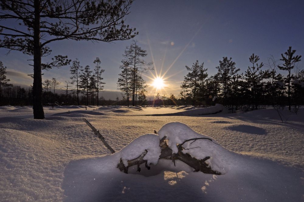 Photograph by Юрий Яковлев