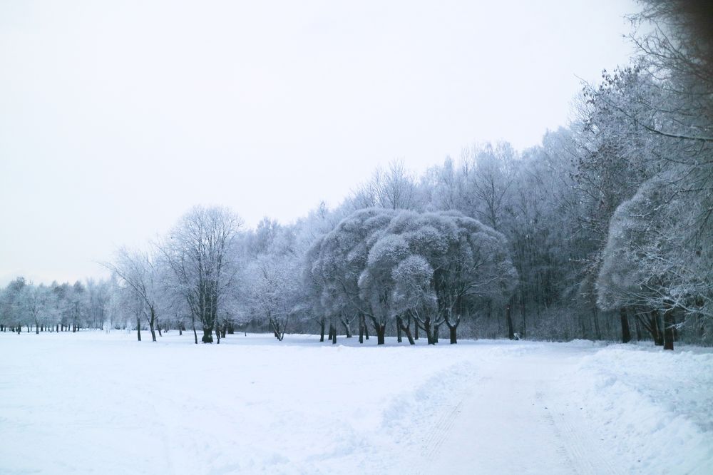 Photograph by Yana Egorova