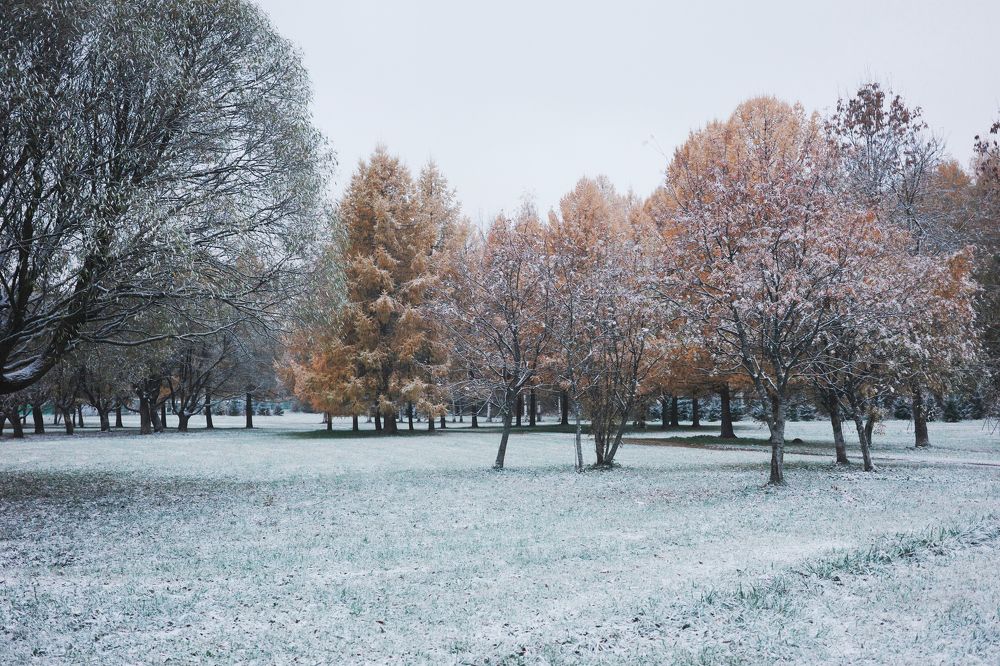 Photograph by Yana Egorova