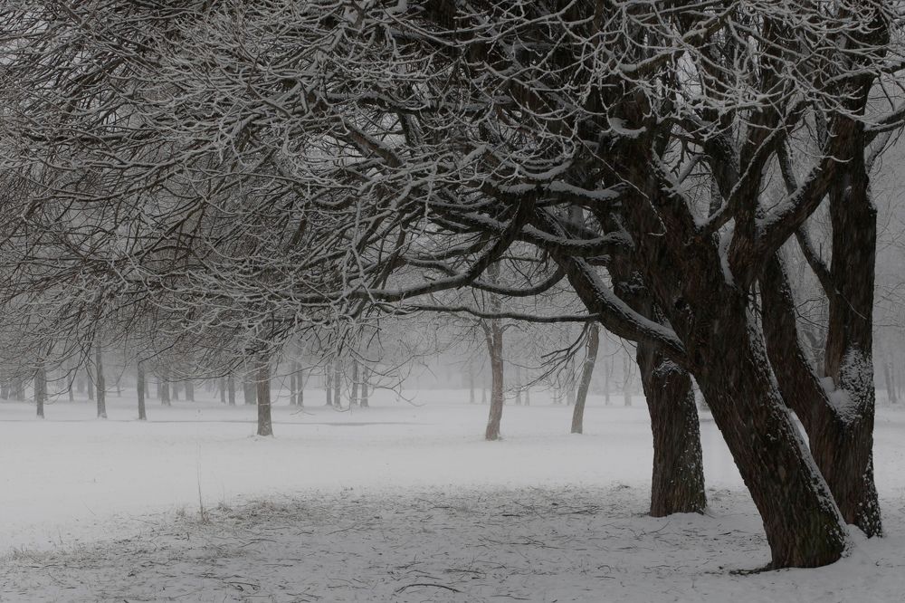 Photograph by Yana Egorova