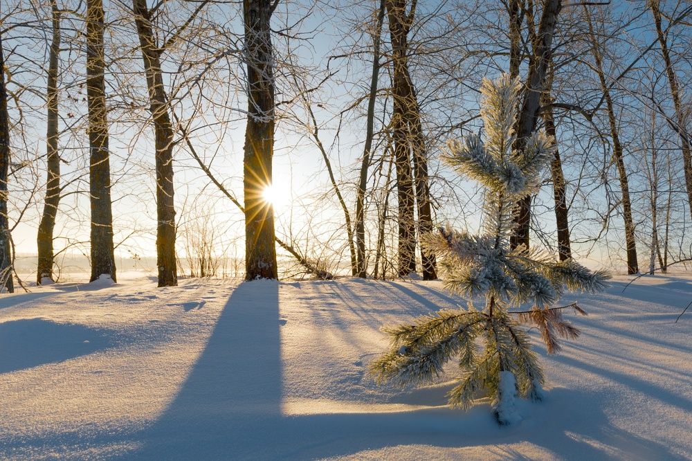 Фотография автора Гильманов Артур