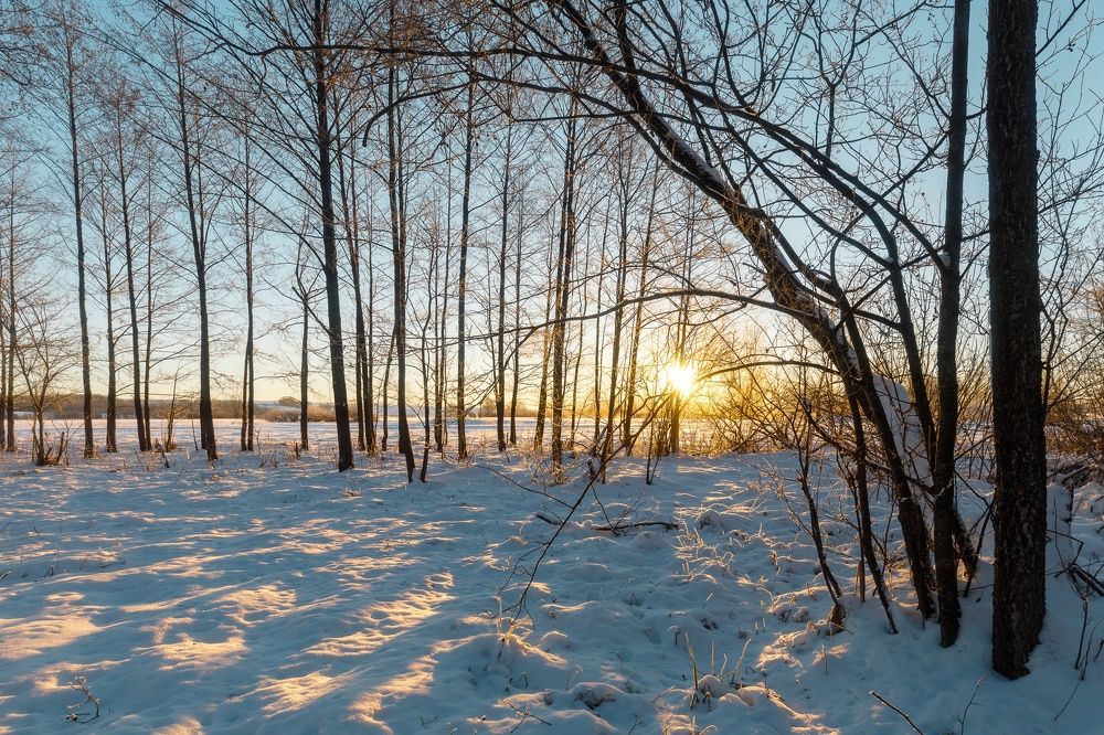Фотография автора Гильманов Артур