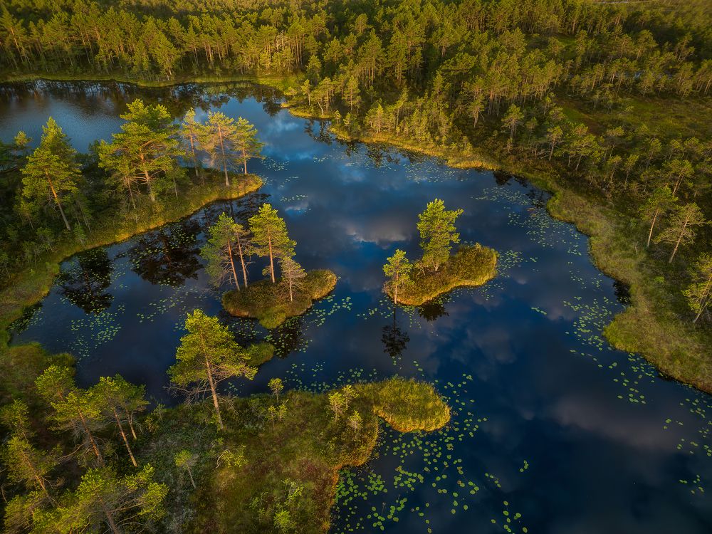 Photograph by Александр Пашеничев