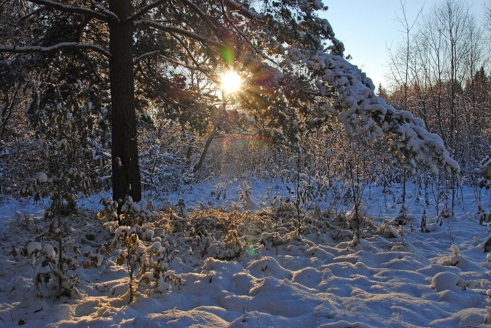 Photograph by Юрий Яковлев