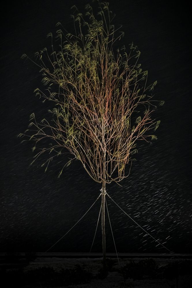 Photograph by Елена Ворошина