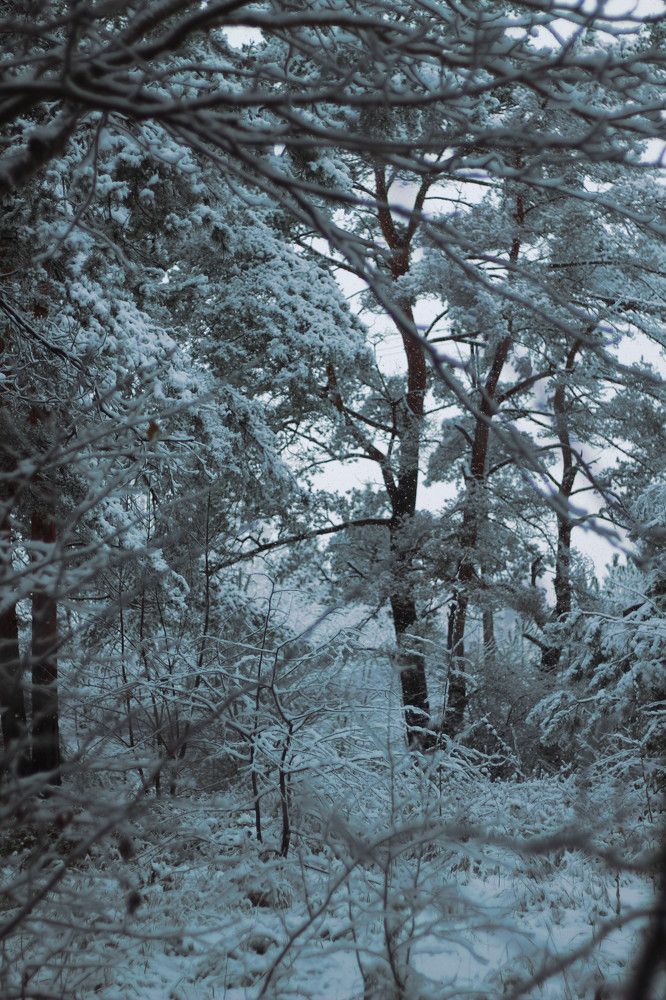 Photograph by Наталья Резванова