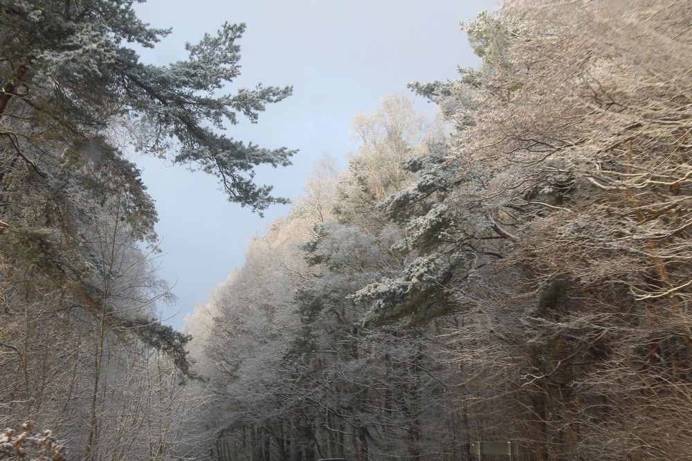 Photograph by Наталья Резванова