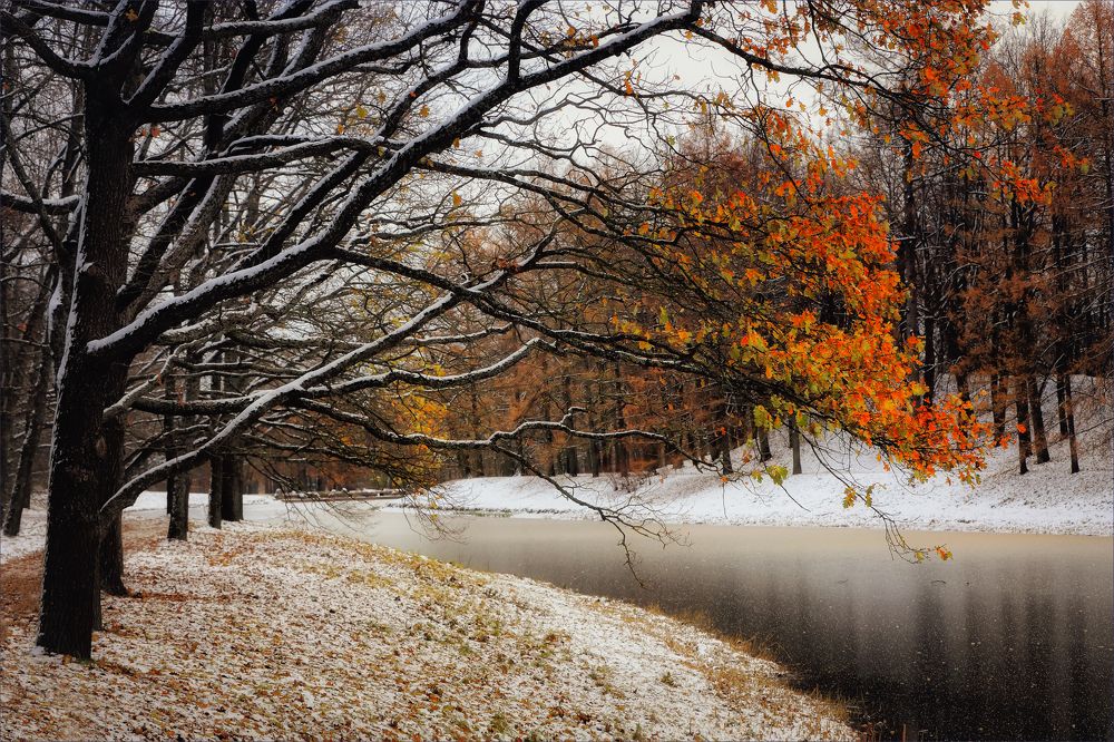 Photograph by Игорь Майоров