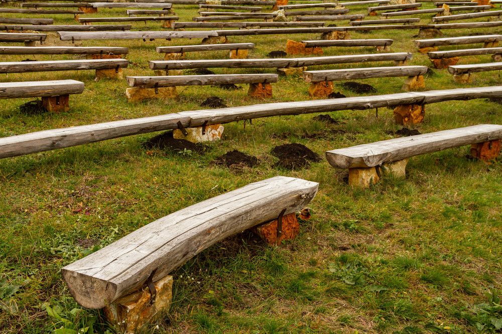 Фотография автора Алексей Тимофеев