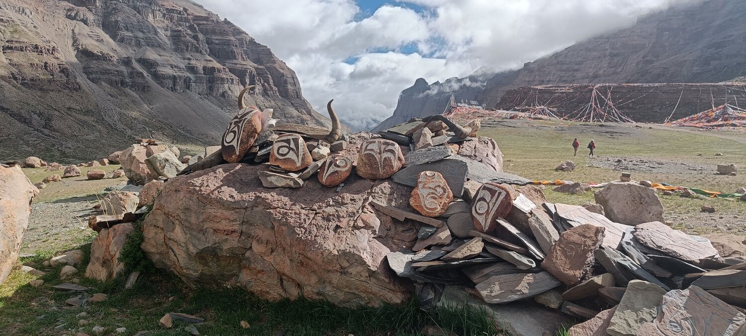 Photo #10010528