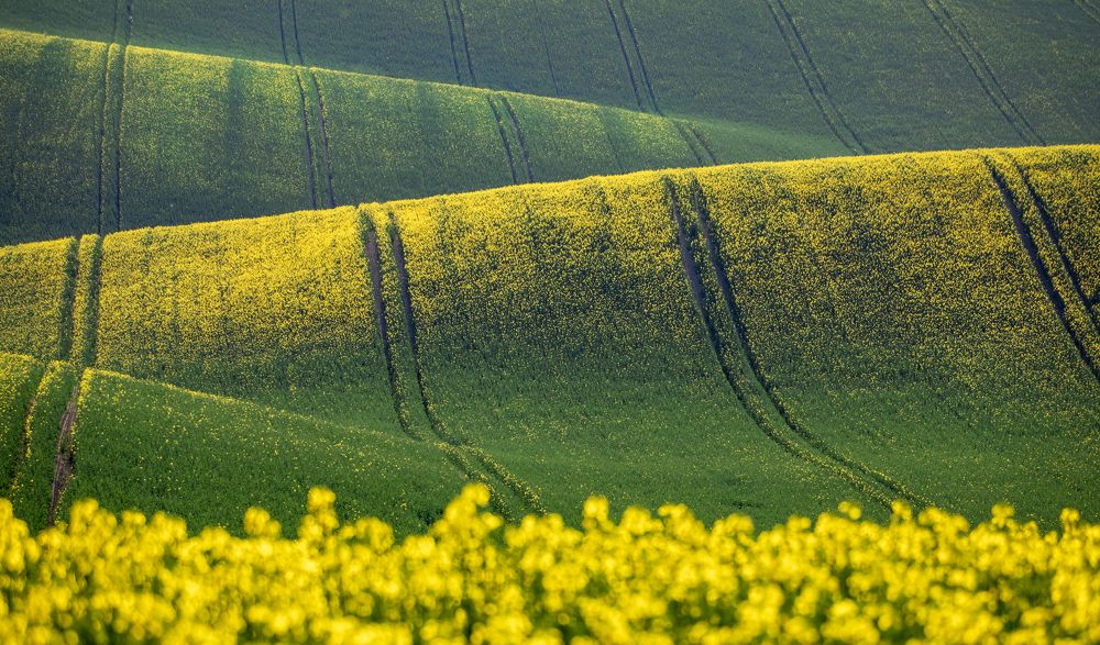 Photograph by Владимир Остапенко