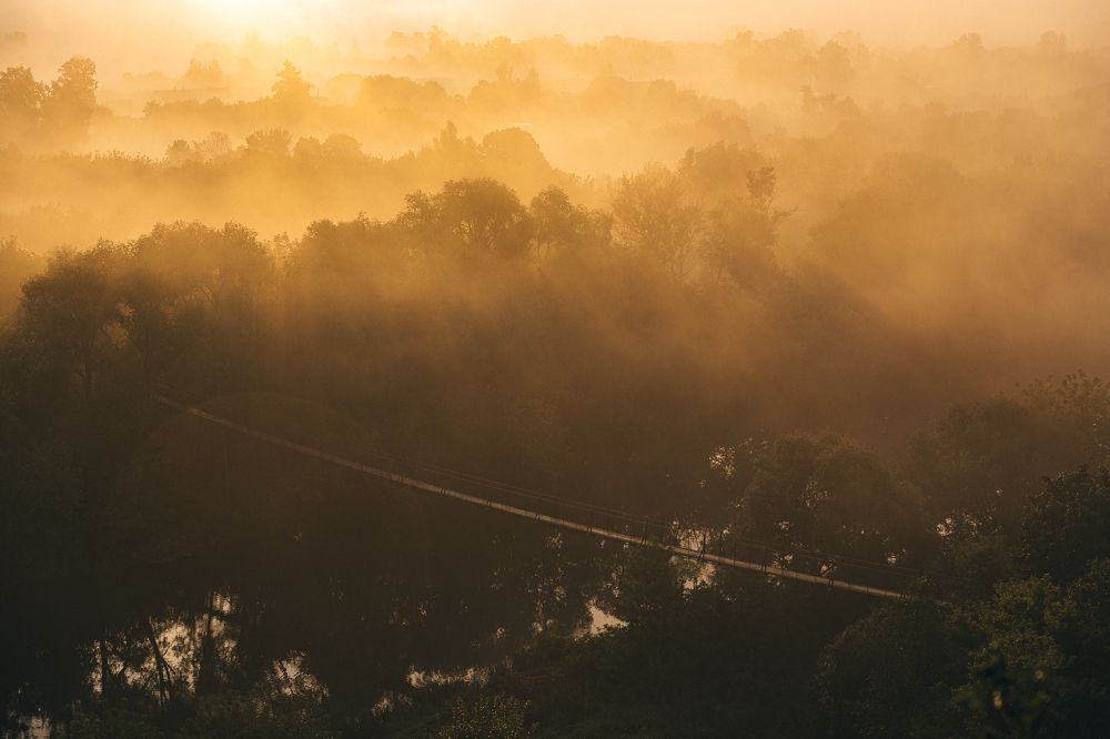 Photograph by Полина Родинс