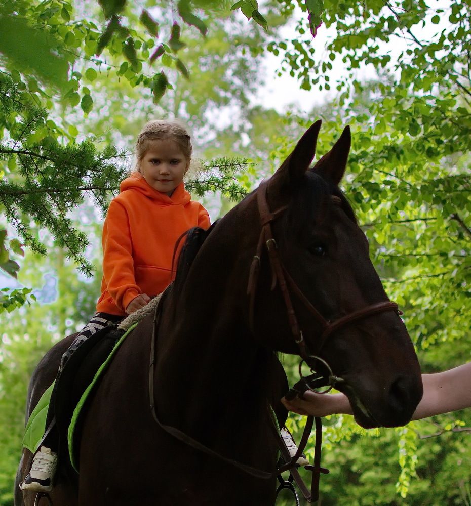 Photograph by Сергей