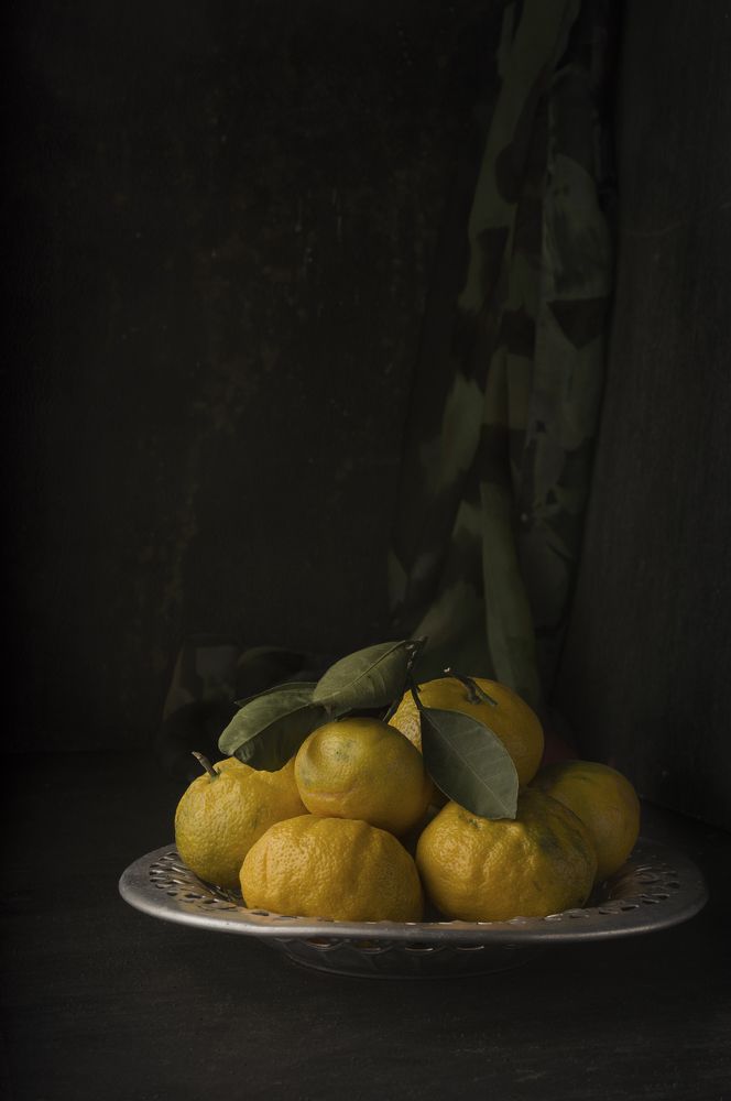 Photograph by Elena Peltek