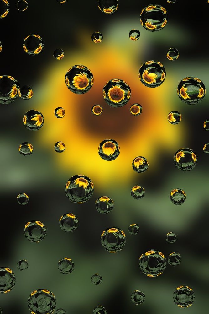 Photograph by Владимир Микрокосмос