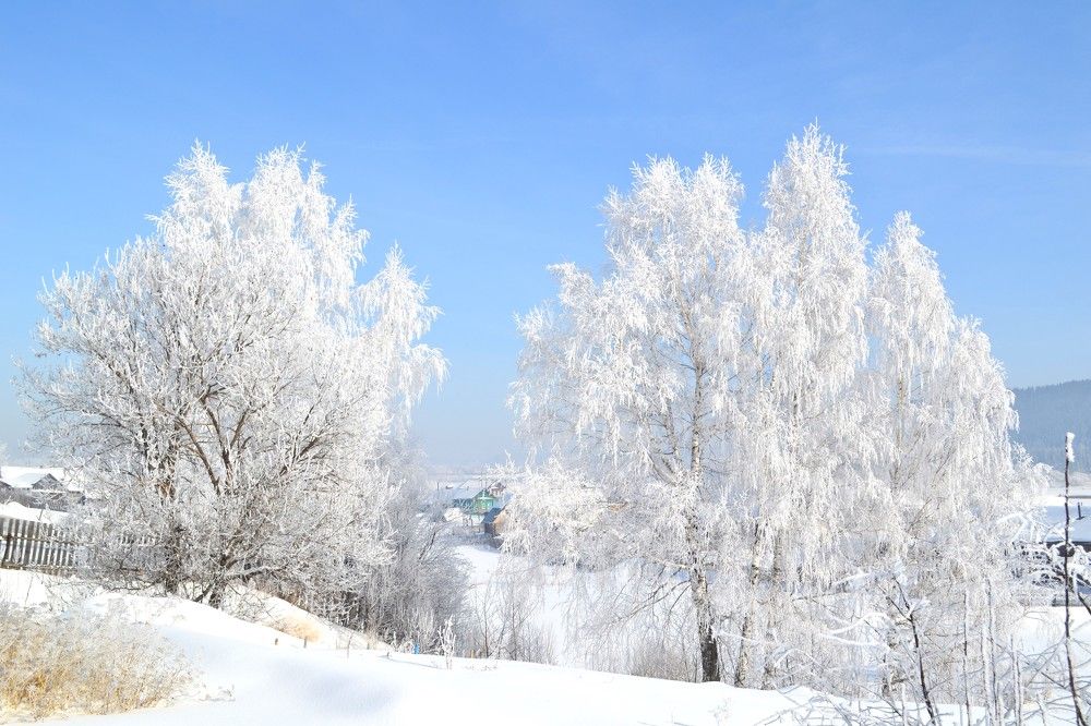 Photograph by Николай Худяков