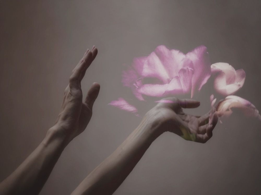 Photograph by Александра Кропивка