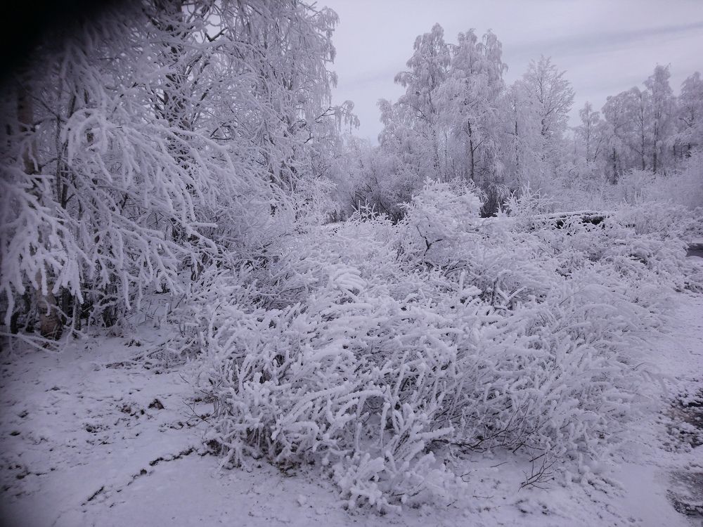 Photograph by Илья