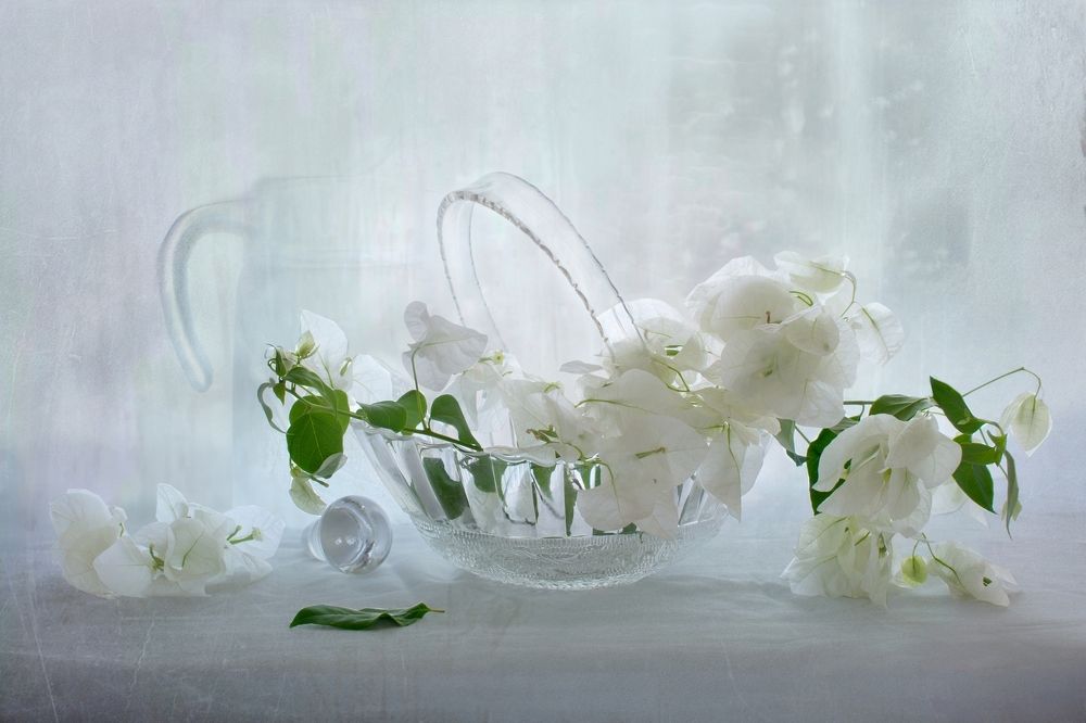 Photograph by Людмила Бекман