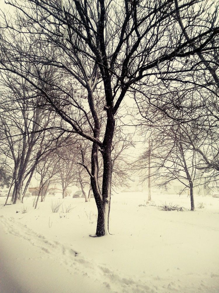 Photograph by Анжелика Гарина