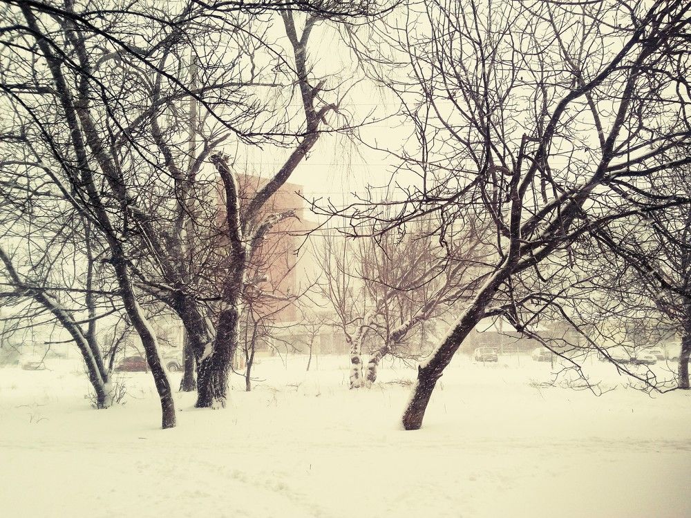 Photograph by Анжелика Гарина