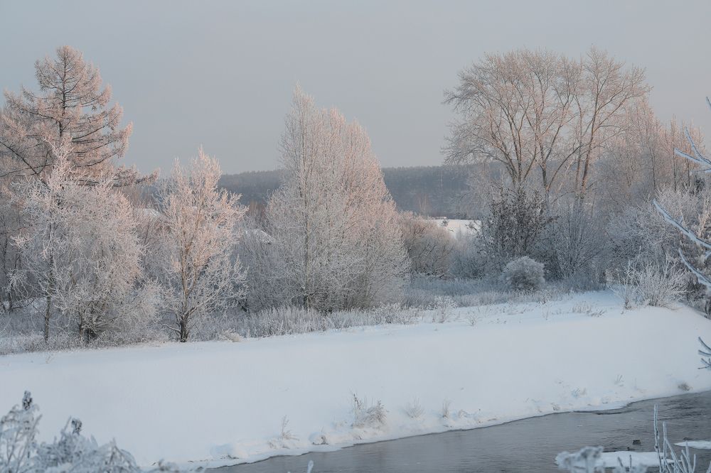Фотография автора Светлана Цудзевич