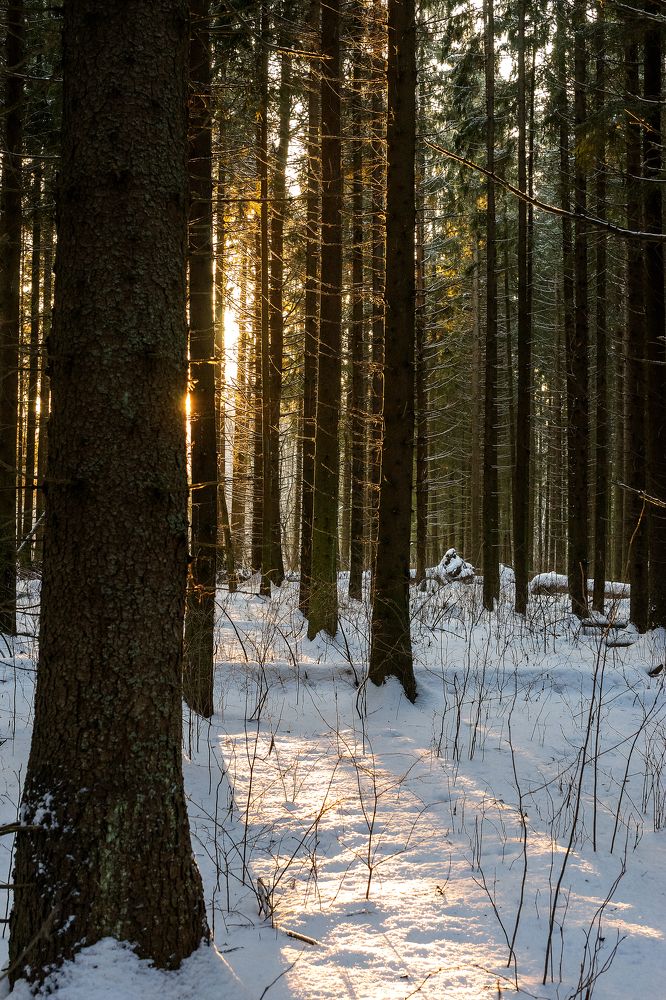 Photograph by Сергей Брызгалов