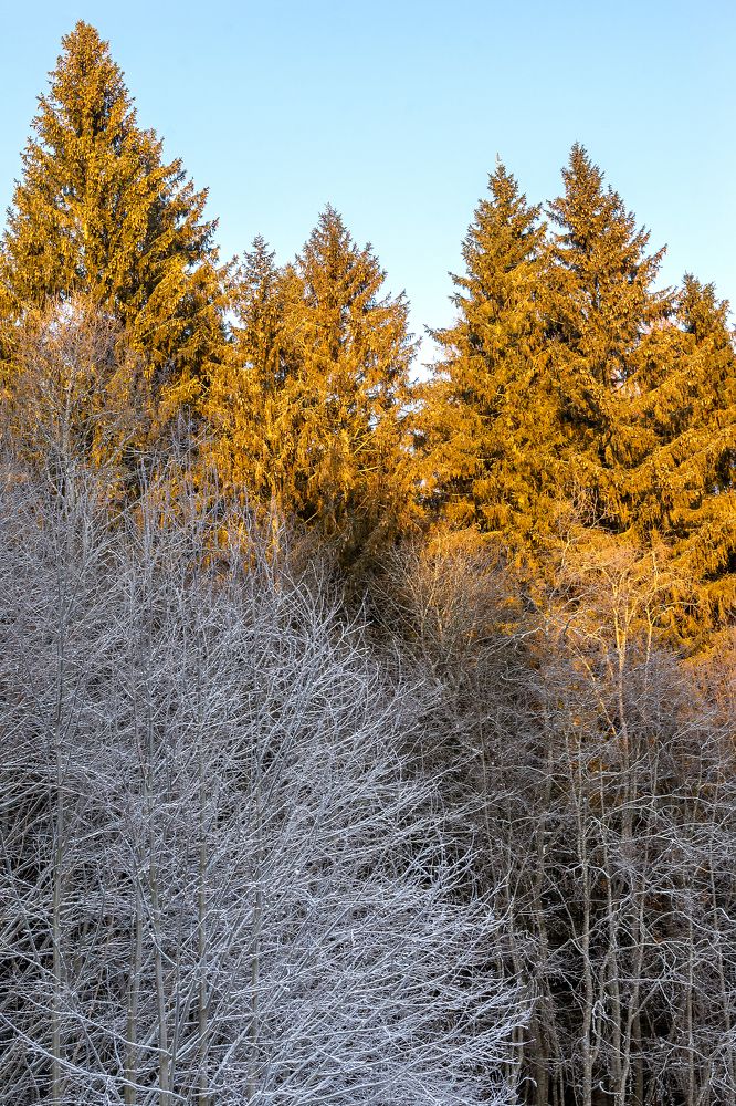 Photograph by Сергей Брызгалов