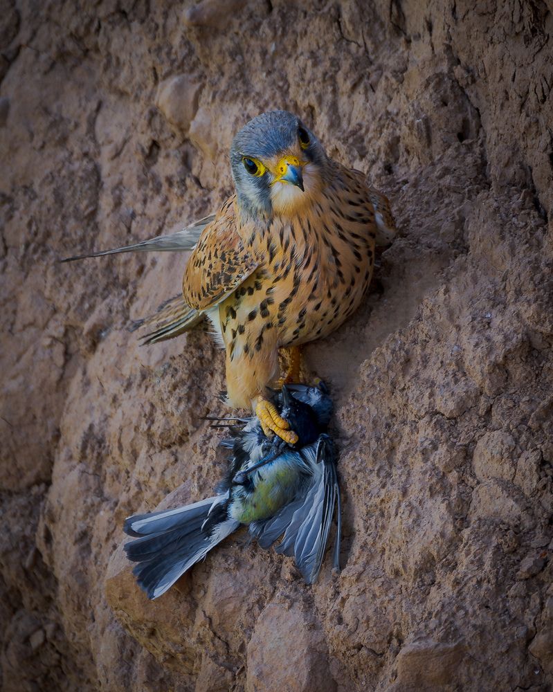 Photograph by Sergio