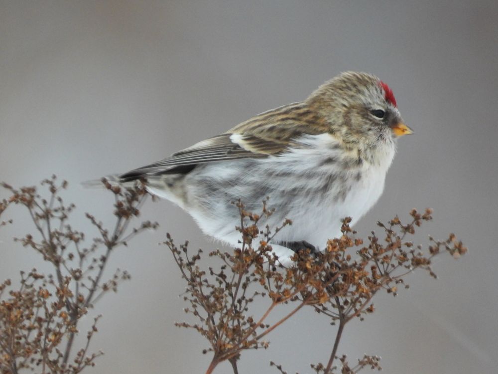 Photograph by Владимир Джерихов