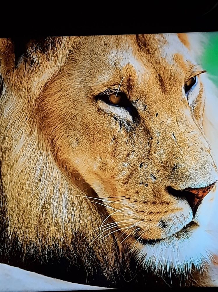 Photograph by Елена Горева