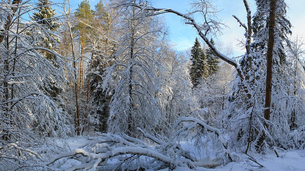 Фотография автора Михаил Крюков