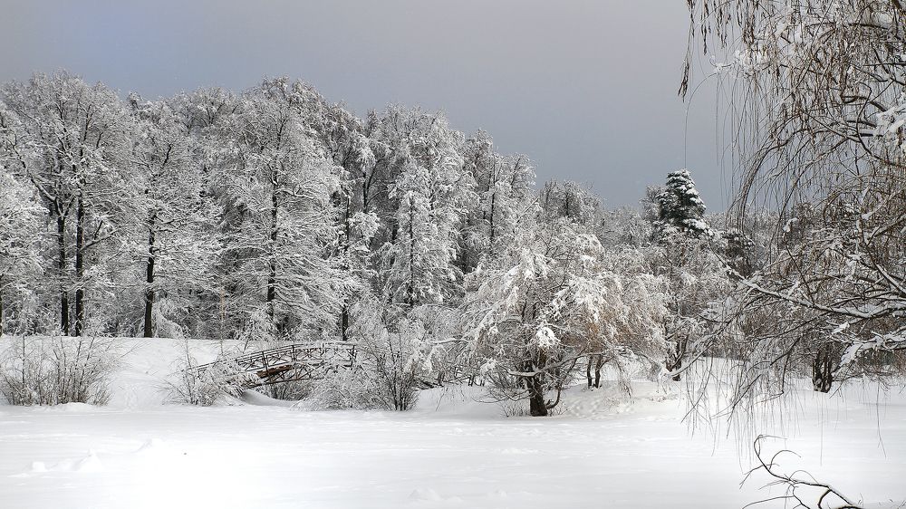 Фотография автора Михаил Крюков