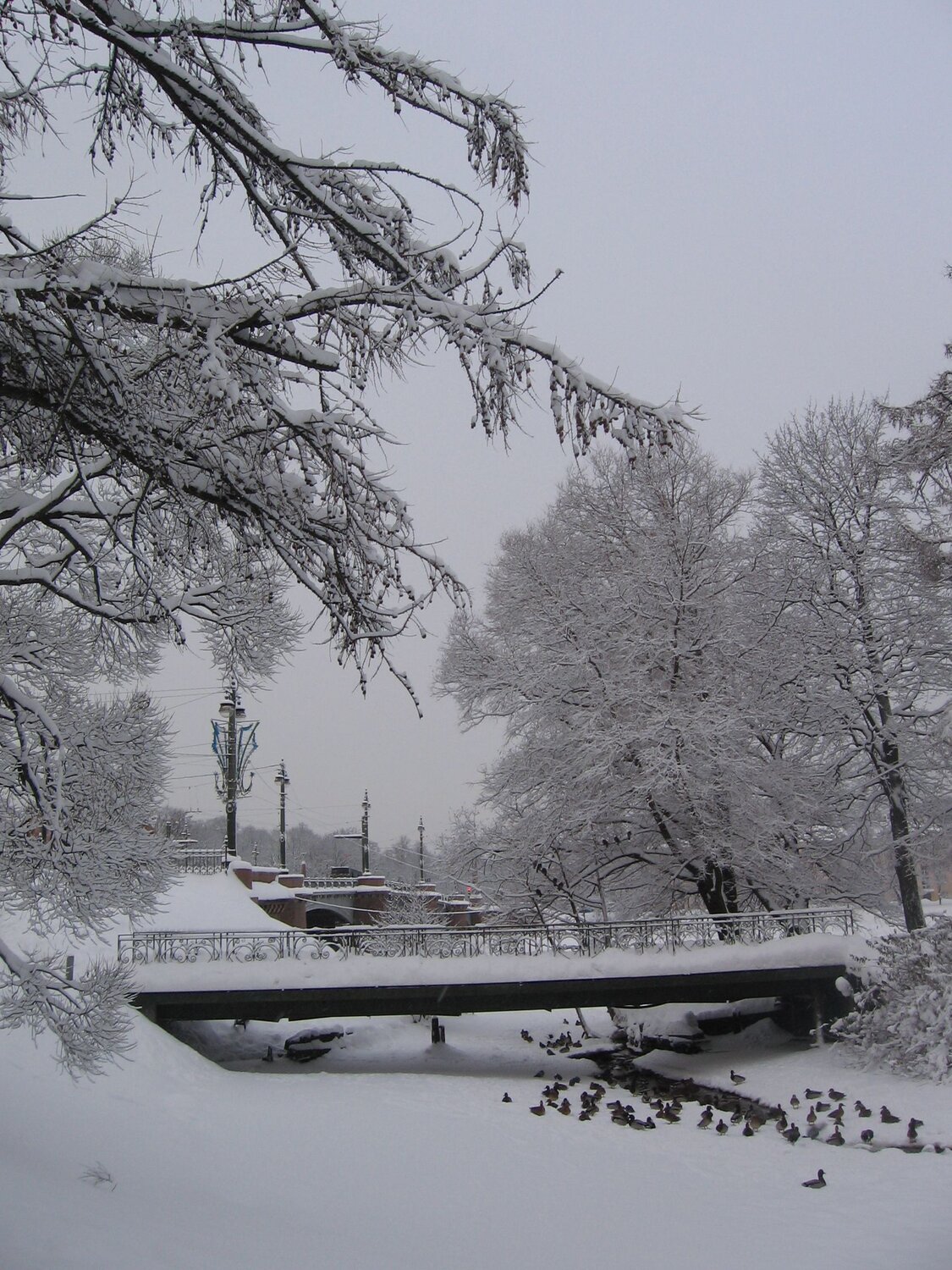 Photo #10010970