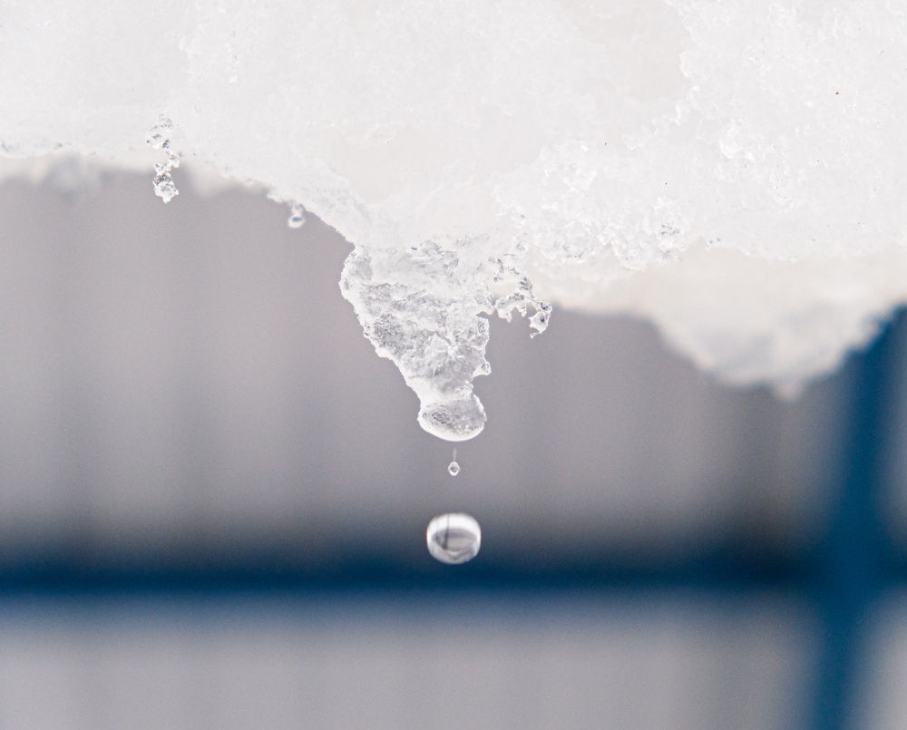 Photograph by Альберт Габбасов