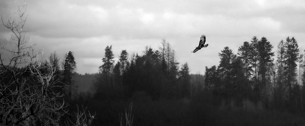 Photograph by Jan Musil