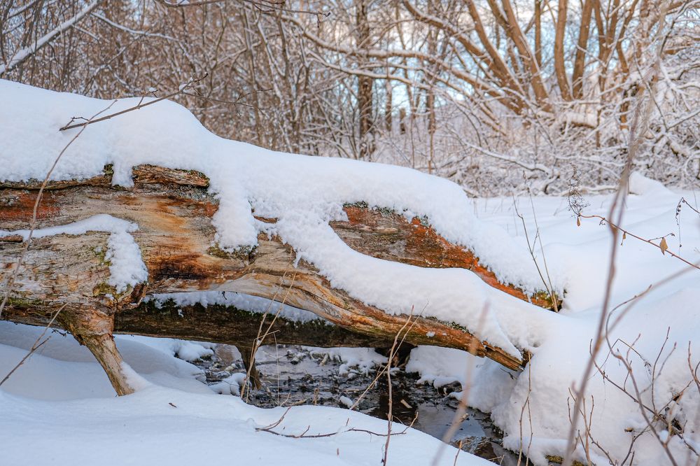 Photograph by Альберт Габбасов