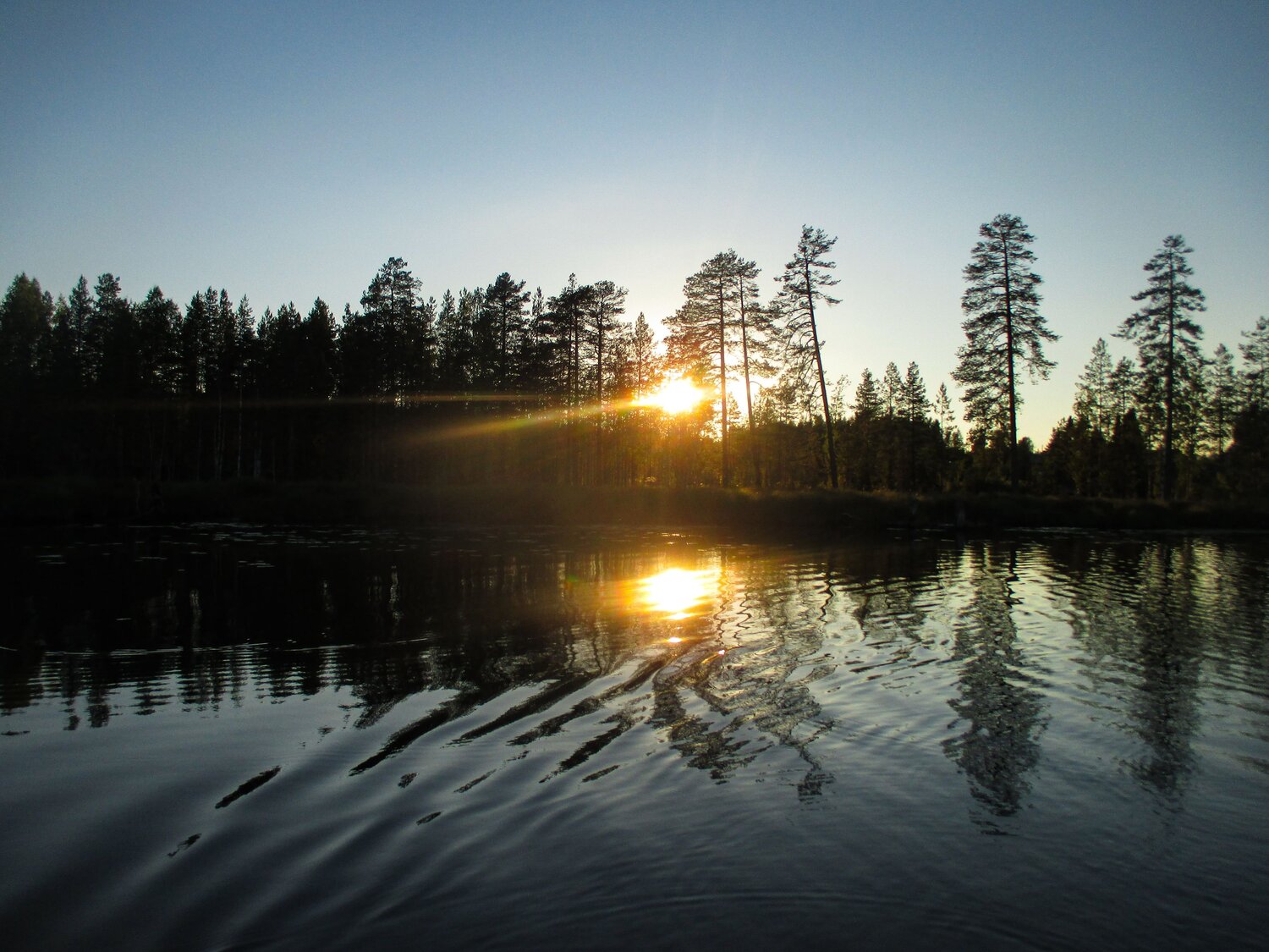 Photo #10010995