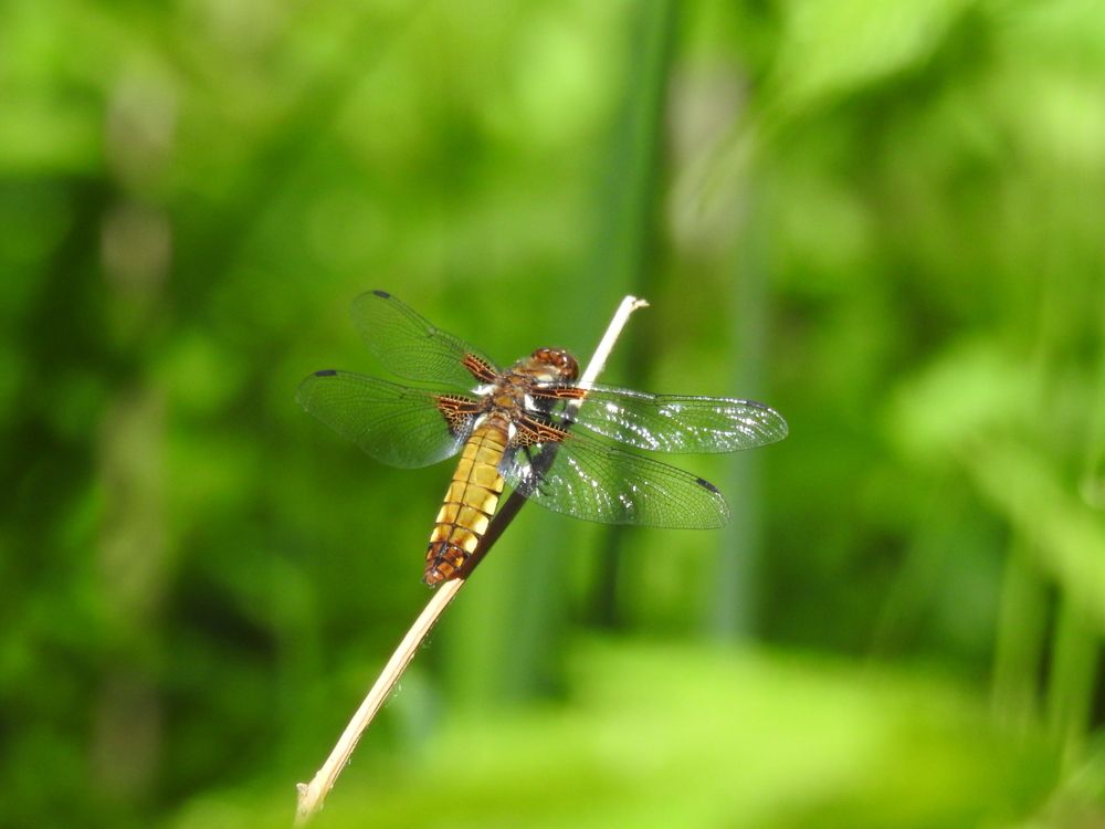 Photograph by Георгий Салюков