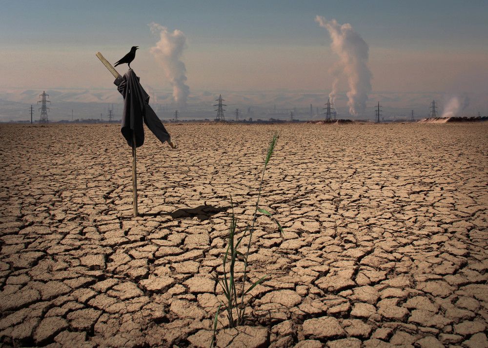 Photograph by Hosein Davoodi