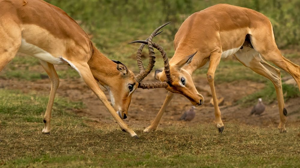 Photograph by Николай Мозгунов