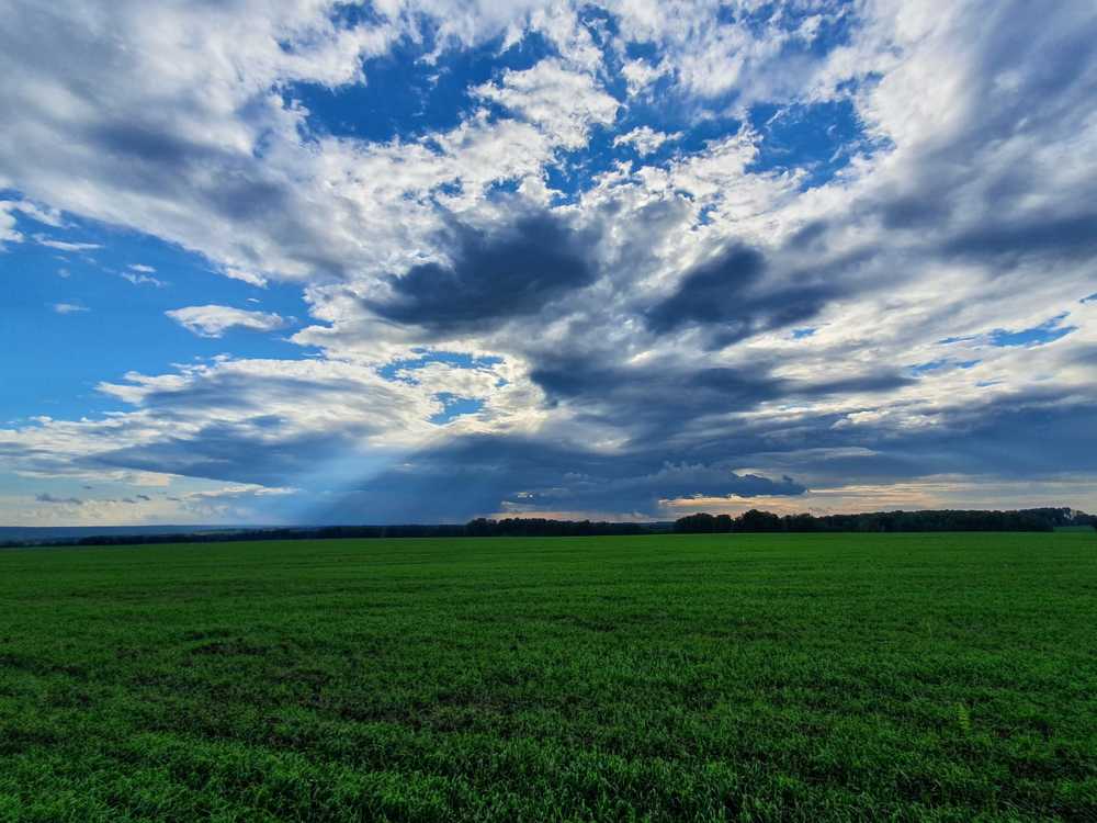 Photograph by Евгения