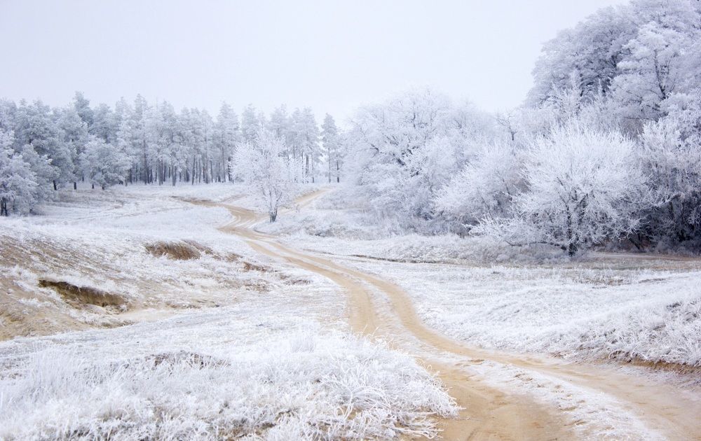 Photograph by Галчонок Ахмерова